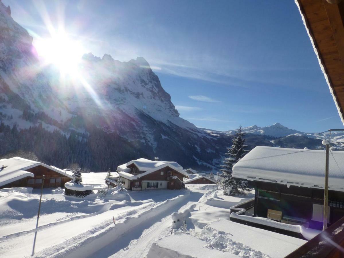 Chalet Verbrunnenhaus Гриндельвальд Экстерьер фото