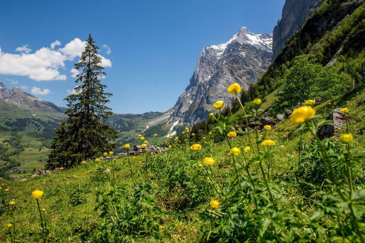 Апартаменты Chalet Verbrunnenhaus Гриндельвальд Экстерьер фото