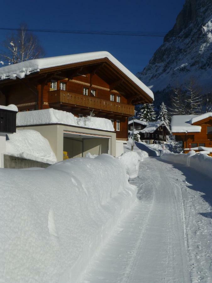 Апартаменты Chalet Verbrunnenhaus Гриндельвальд Экстерьер фото